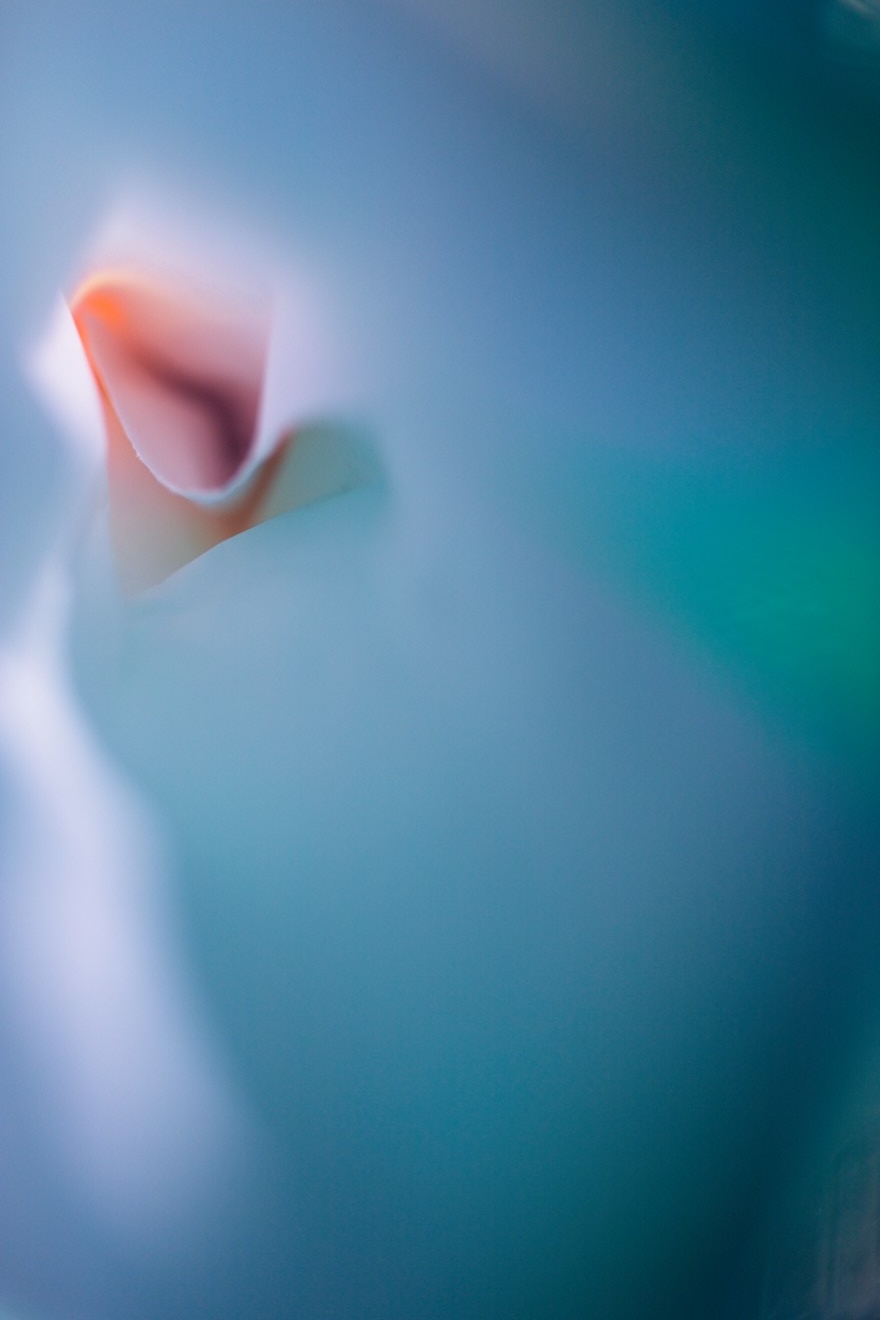 Photo aus Photoblog lichtspiele.andreas-klingler.de